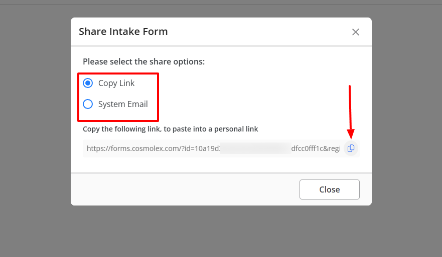 That's it! I can now select my share options: Copy email or System email