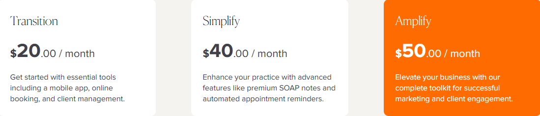 massage therapy software