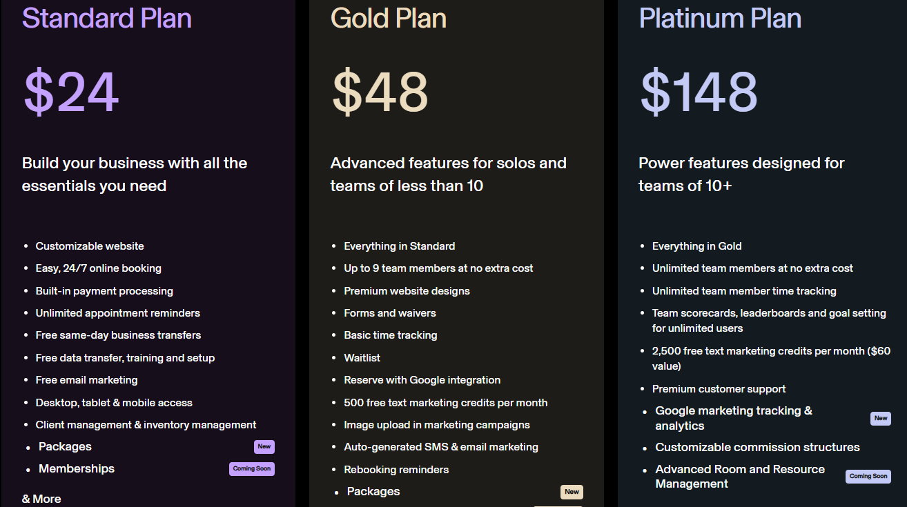 massage therapy software