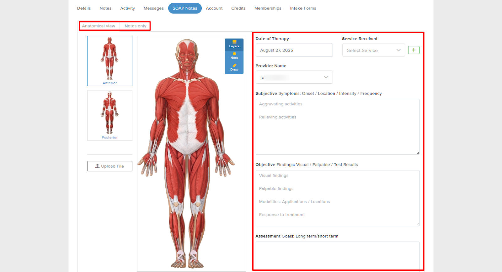 massage therapy software
