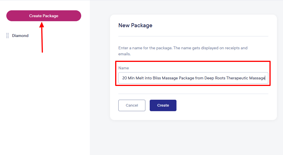 massage therapy software